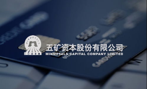 保险类网站设计 北京分形科技网站建设